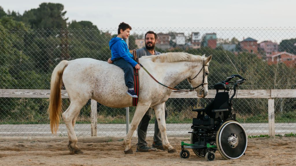Horse activity